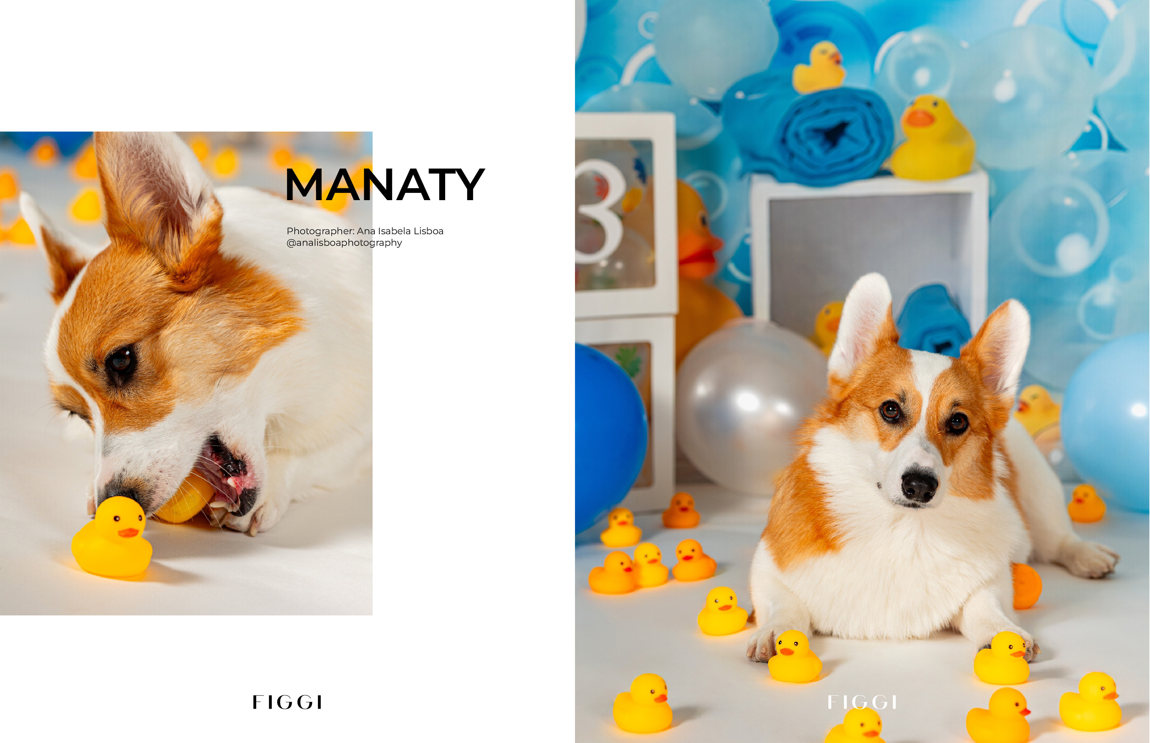 FIGGI MAGAZINE - LOVELY PETS DECEMBER (Vol 1286)