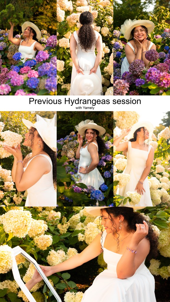 hydrangeas creative photoshoot